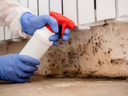 Professional Mold Remediation in Janesville, MN